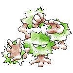 No. 036 Bush-Basher