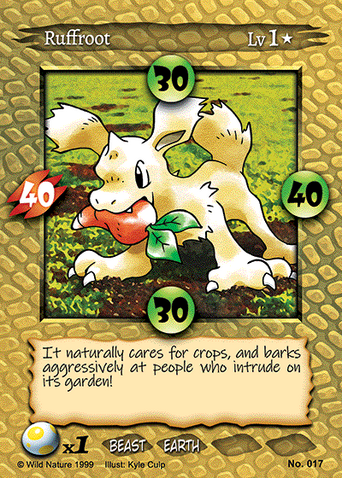 No. 017
