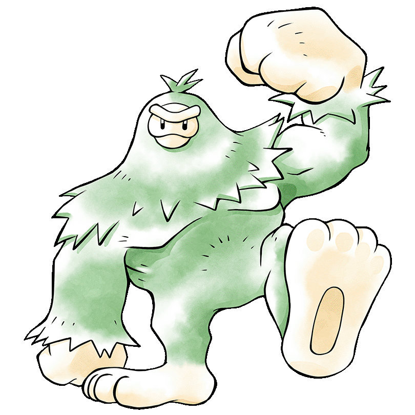Sasquash